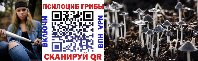 где можно купить   Вышний Волочёк  гидра сайт  Галлюциногенные грибы мицелий 